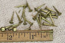 Old Brass 25 Nails 3/16” Domed Round Slim Oval Head Canoe Tacks 1940 Vintage 5/8