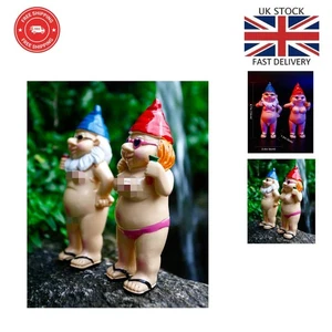 Compact Funny Gnome Statues - Perfect Decorative Ornaments for Small Spaces - Picture 1 of 9