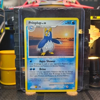 Prinplup Diamond & Pearl Pokémon TCG 58/130 Uncommon - Image 1 of 4
