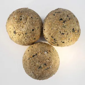 Premium Large Fat Balls For Birds XL - 500g - Picture 1 of 2
