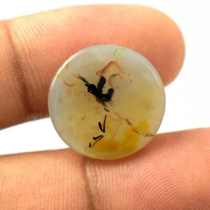 10.1 Cts Natural Scenic Dendrite Agate Cabochon Gemstone Free Form VG741 - Picture 1 of 3