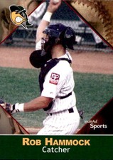 2001 South Bend Silver Hawks Multi-Ad #14 Rob Hammock Marietta Georgia GA Card