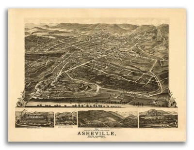 Asheville NC 1891 Historic Panoramic Town Map - 18x24
