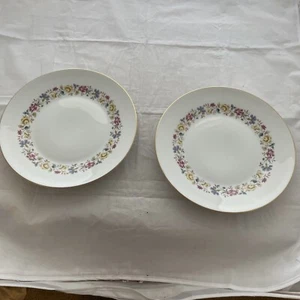 Richard Ginori Fine Italian China Sorrento Dinner Plate Set of 2 10 1/4" - Picture 1 of 8