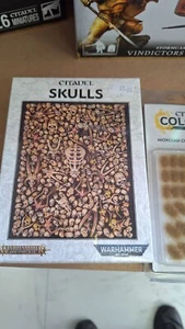 Citadal Skulls Warhammer Games Workshop 64-29 - Picture 1 of 3