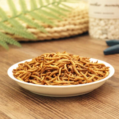 LUCKYQ Bulk Dried Mealworms for Chickens Wild Birds Feed Bluebirds Hamster Hen Treats