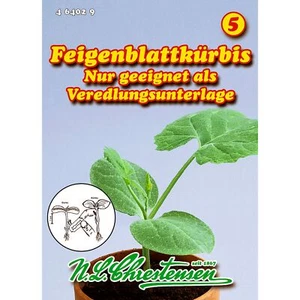 Feigenblattkürbis nur als Veredlungsunterlage geeignet Chrestensen Gurken - Bild 1 von 2