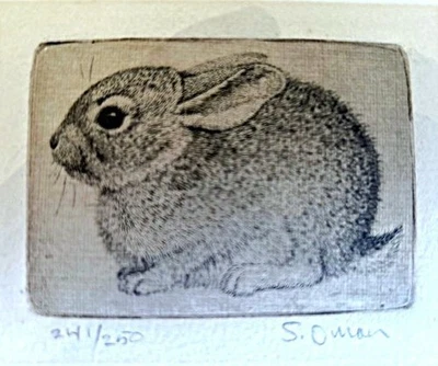 SHERIDAN OMAN "CONEJO COLA DE ALGODÓN DEL DESIERTO" ORIGINAL IMPRESO-FIRMADO Y NUMERADO Foto 1 de 4