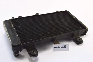 Triumph Tiger 955i 709EN Bj 2006 - radiator water cooler A4565 - Picture 1 of 2