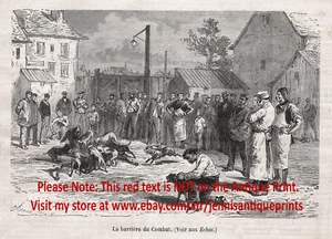 Perro Pit Bull Lucha Cebo Deporte Ataque Mula, Grabado Antiguo Años 1870 - Imagen 1 de 4