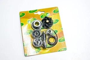 AA00828 - WARTUNGSSATZ WASSERPUMPE PIAGGIO 300CC - Bild 1 von 1