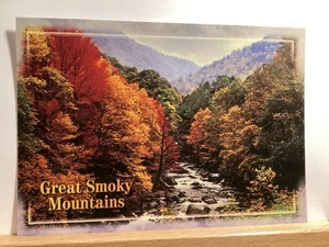 Fall Scene on the Little Pigeon River, Great Smoky Mountains: - Vintage Postcard - Picture 1 of 3