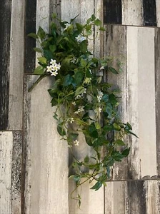 Allstate Floral &craft Inc. 33” Mini Jasmine Hanging Bush White Flowers New - Picture 1 of 7