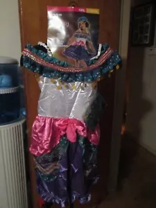 Gypsy Halloween Costume L (10-12) NEW Fast Shipping - Picture 1 of 6