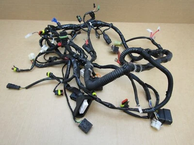 Piaggio Vespa Primavera 125 2018 9,057 miles wiring loom harness (13505) - Image 1 of 4
