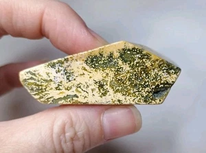 Ocean Jasper Crystal Unique Piece Polished Free Form Healing Metaphysical (C) - Picture 1 of 6