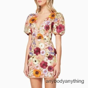 Women Fashion Spring Summer Mesh 3D Flower Embroidery Perspective Evening Dress - Picture 1 of 21