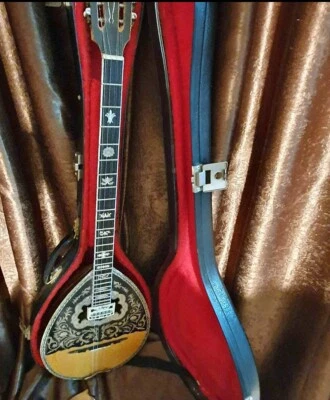 Greek Bouzouki SPECIAL OFFER-Hardcase & Pickup & 300 Backing Track & Pdf Scores - Image 1 of 2