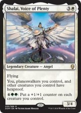 WOTC MtG Dominaria Shalai, Voice of Plenty (R) EX