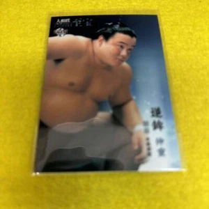 Sakahoko 2015 BBM Sumo Wrestling Card -Very Good from Japan FS - Picture 1 of 2
