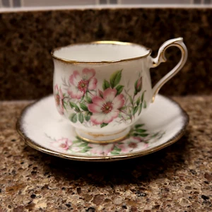 Royal Albert Friendship Wild Rose Cup & Saucer Floral English Bone China - Picture 1 of 5