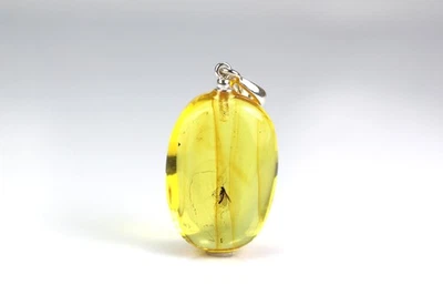 Ciondolo ambra baltica con grande inclusione di insetti ZANZARE, argento 925,... - Immagine 1 di 4