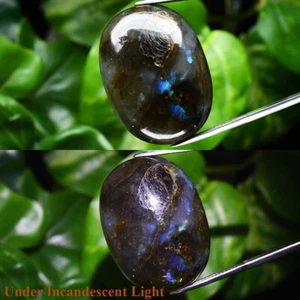 Riesig! 67,74ct Oval Cab Natur Regenbogen mit Glanz Labradorit Edelstein, Afrika - Bild 1 von 6