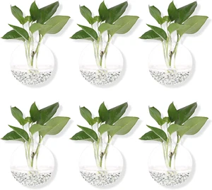 Pack of 6 Glass Planters Wall Hanging Planters round Glass Plant Pots Hanging Ai - Picture 1 of 7
