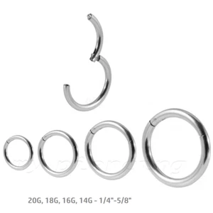 PAIR Hinged Seamless Segment Ring Nose Hoop Earring Labret Septum Ring - Picture 1 of 3