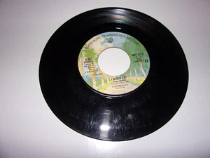 Alice Cooper: I Never Cry / Go To Hell / 45 Rpm / 1976 - Imagen 1 de 1