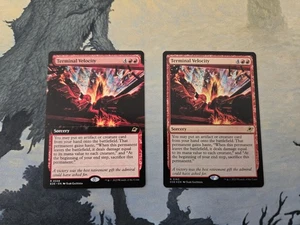 MTG EOE Terminal Velocity x2 NM (1 Extended, 1 Foil) - Picture 1 of 2