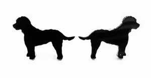 Cockapoo Dog Cufflinks Mens Novelty Dog Shirt Cufflinks In Black - Picture 1 of 6