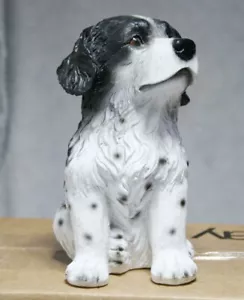 JBorder Collie Lindo Cachorro Figura Modelo Juguete Coleccionista Coche Decoración Niño Regalo - Imagen 1 de 6