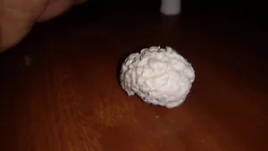 Juego de cerebros a escala 1/6 (3 piezas) - Imagen 1 de 12