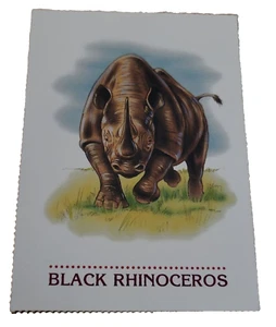 1994 Scholastic Trading Card Black Rhinoceros (H7 - Picture 1 of 2