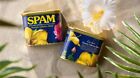 One Can 2024 Limited Edition Hawaiian Collectors Edition SPAM From Hawaii NEW!