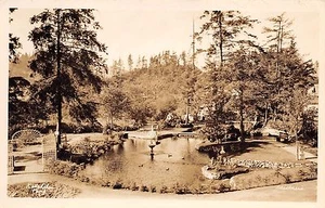 Ketchikan Alaska Park RPPC  - Bild 1 von 2