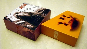 Pearl Jam Vs PROMO EMPTY BOX for jewel case, japan mini lp cd  - Bild 1 von 2