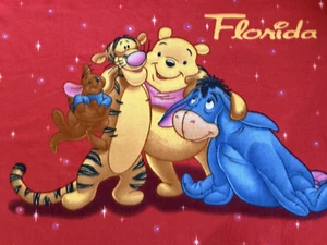 Disney Winnie the Pooh Blanket Florida Red Fleece Kids Baby Throw Whipstitch - Picture 1 of 9