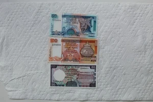 Sri Lanka Banknoten, 20 Rupien, 50 Rupien, 100 Rupien, in schöner Erhaltung - Bild 1 von 6