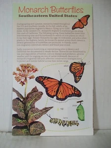 Monarch Schmetterlinge - Südosten der Vereinigten Staaten (brandneu) - Bild 1 von 4
