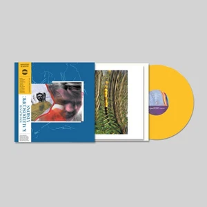 Tom Skinner - Kaleidoscopic Visions / Vinyl LP limited on COLORED presale - Picture 1 of 1