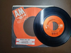 SOUNDGARDEN Black Hole Sun / Spoonman 👂HEAR🎵 7" 45 RPM Vinyl Record - Picture 1 of 16