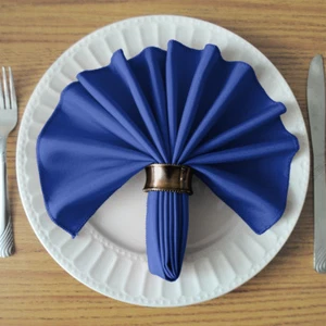 SimplyPoly 17x17 Inch Cloth Napkins - Picture 1 of 199