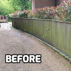 Mould Algae Moss Remover for Patio, Drives, Decking and Fencing - (1x10 Litres)