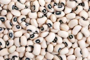 Dry Black eye beans White Cow Peas - 1kg 2kg 5kg 10kg 15kg 20kg 30kg 40kg Bulk - Picture 1 of 3