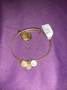 Pulsera Alex and Ani US Air Force Charm - Imagen 1 de 7