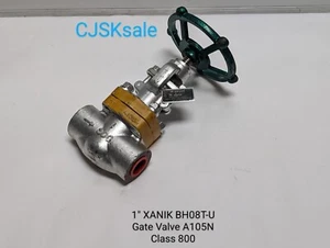 1" XANIK BH08T-U Gate Valve A105N Class 800 (NEW). - Picture 1 of 12