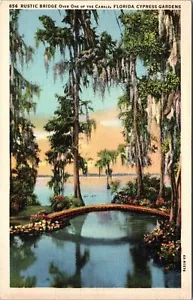 Giardini dei cipressi FL-Florida vista panoramica ponte rustico sul canale cartolina d'epoca - Foto 1 di 2