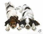 ✪ Original Oil Portrait Painting English Setter Artist Signed Puppy Dog Artwork